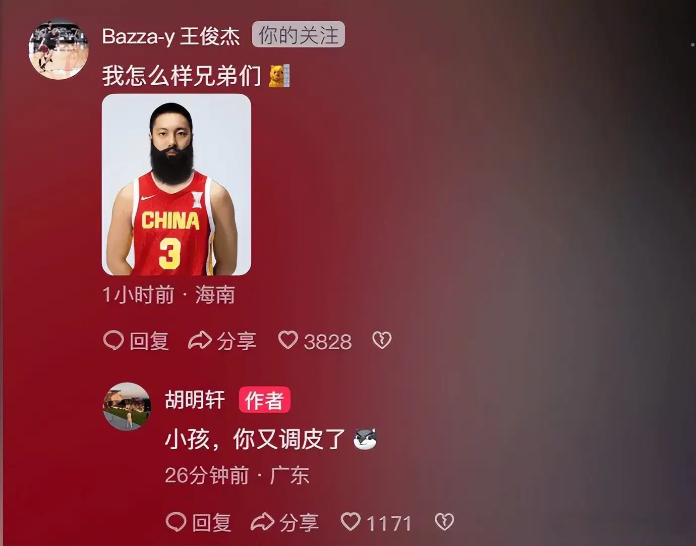 这届的中国, 评论 这届的中国, 评论