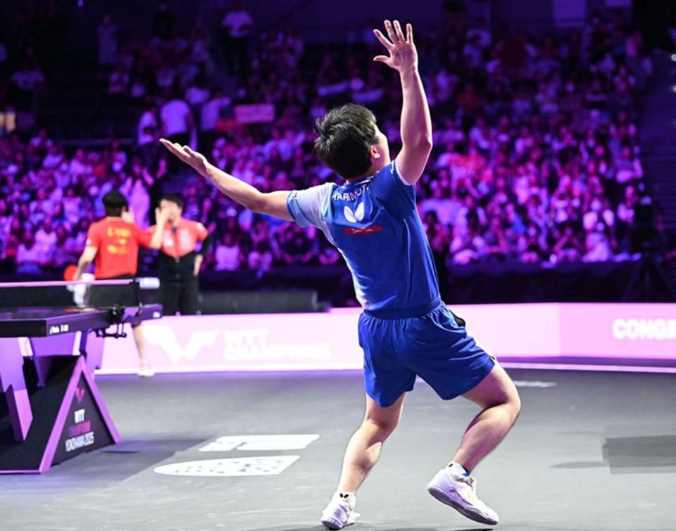 向于张本智 向于张本智